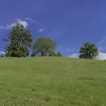 Fuchswirt