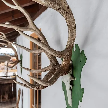 Fuchswirt 3* Kelchsau